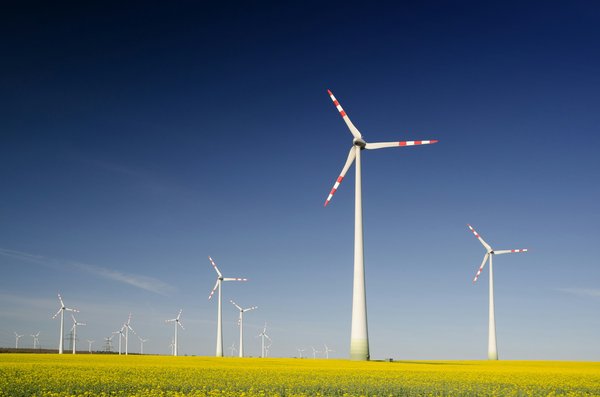 Starting a UK Non-Profit: Your Guide to Launching Renewable Energy Initiatives